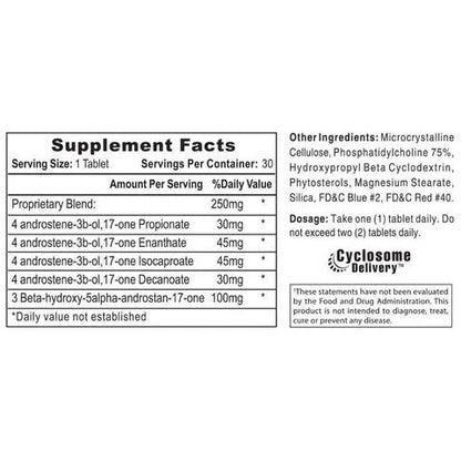 Sustanon 250®